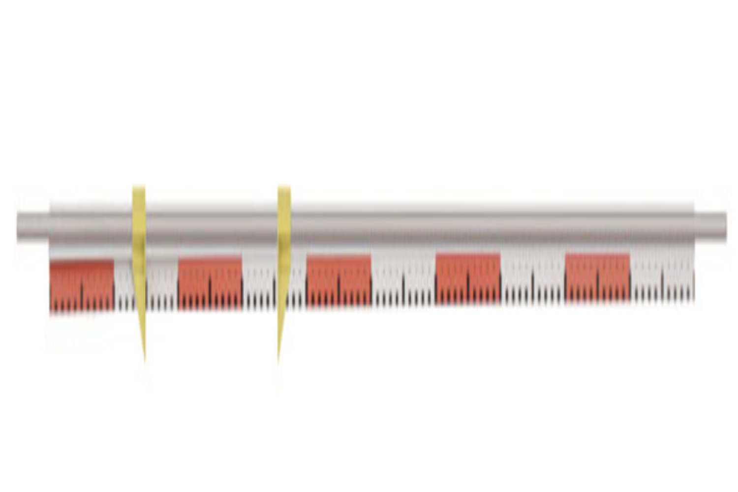Leybold Scale with Pointers